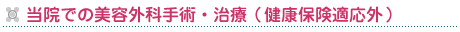 当院での美容外科手術・治療(健康保険適応外)